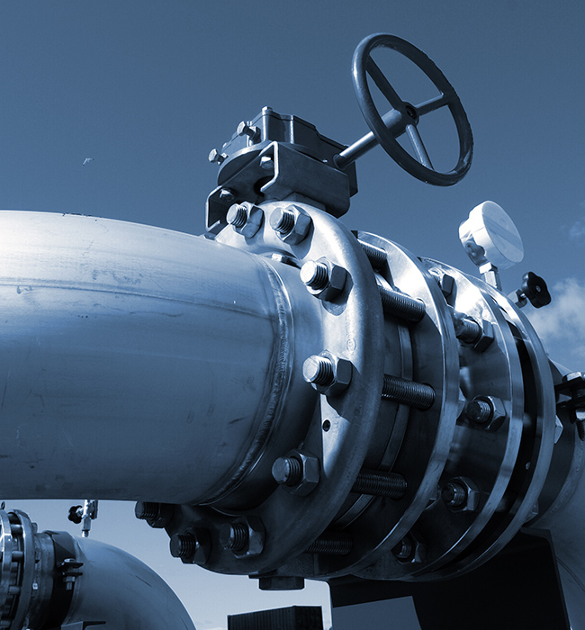 Der „Wächter der Kontrolle“ in der Fluidwelt